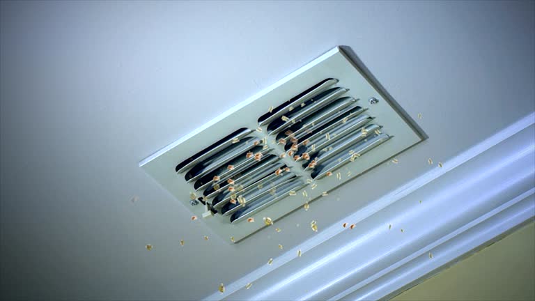 Best Affordable Air Duct Cleaning  in Stuarts Draft, VA